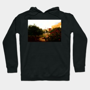 Sunday in Gastonia Hoodie